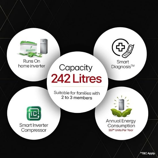 LG 242 L 2 స్టార్ ఫ్రాస్ట్-ఫ్రీ స్మార్ట్ ఇన్వర్టర్ డబుల్ డోర్ రిఫ్రిజిరేటర్ (GL-N292DPZY, షైనీ స్టీల్, స్మార్ట్ కనెక్ట్ & మల్టీ ఎయిర్ ఫ్లో) యొక్క చిత్రం