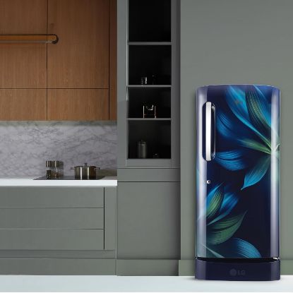 LG 210 L, 5 స్టార్, డైరెక్ట్ కూల్, స్మార్ట్ ఇన్వర్టర్ కంప్రెసర్, సింగిల్ డోర్ రిఫ్రిజిరేటర్ (2025 మోడల్, GL-D231ABAU, బ్లూ అరోరా, హ్యుమిడిటీ కంట్రోలర్, డ్రాయర్‌తో కూడిన బేస్ స్టాండ్ & ఫాస్ట్ ఐస్ మేకింగ్) యొక్క చిత్రం