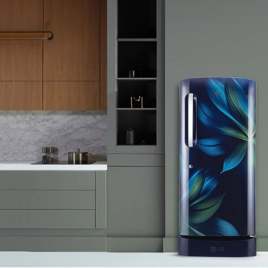 LG 210 L, 5 స్టార్, డైరెక్ట్ కూల్, స్మార్ట్ ఇన్వర్టర్ కంప్రెసర్, సింగిల్ డోర్ రిఫ్రిజిరేటర్ (2025 మోడల్, GL-D231ABAU, బ్లూ అరోరా, హ్యుమిడిటీ కంట్రోలర్, డ్రాయర్‌తో కూడిన బేస్ స్టాండ్ & ఫాస్ట్ ఐస్ మేకింగ్) యొక్క చిత్రం