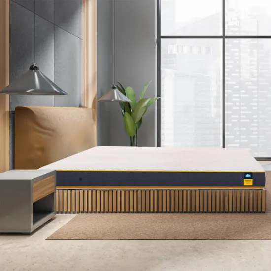 సెంచరీ మ్యాట్రెస్‌లు స్లీపబుల్స్ 6-ఇంచ్ క్వీన్ సైజ్ డ్యూయల్ కంఫర్ట్ హార్డ్ అండ్ సాఫ్ట్ రివర్సిబుల్ రోల్ ప్యాక్ హై రెసిలెన్స్ (HR) ఫోమ్ మ్యాట్రెస్ (75x60x6) యొక్క చిత్రం