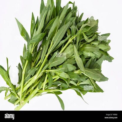 పొన్నగంటి ఆకు యొక్క చిత్రం